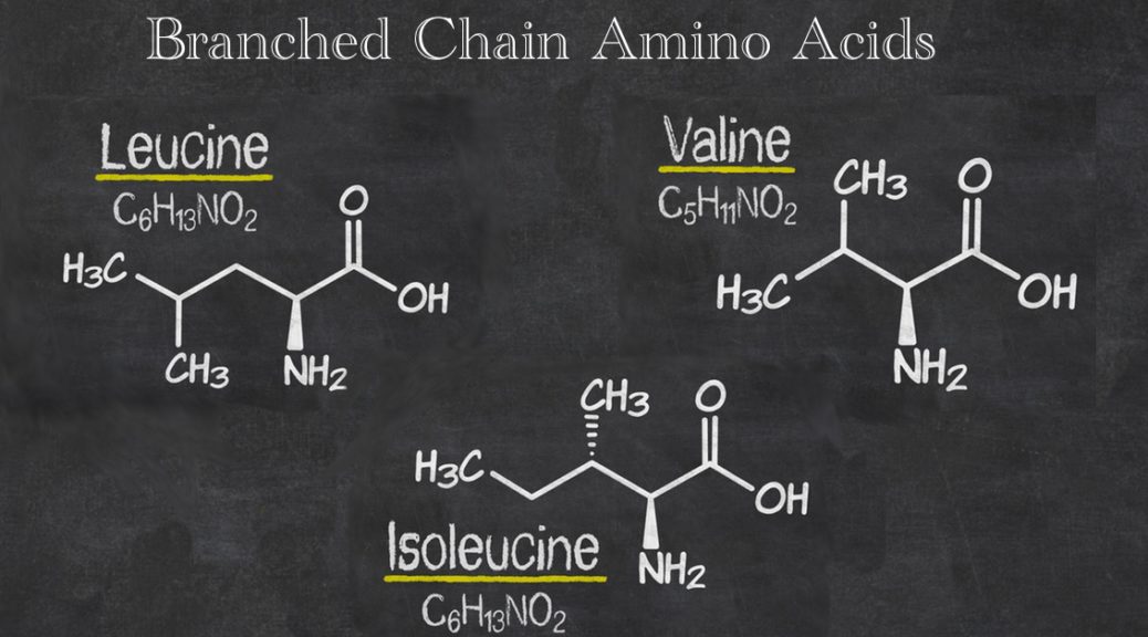 Branched chain amino acids The Perfect 105